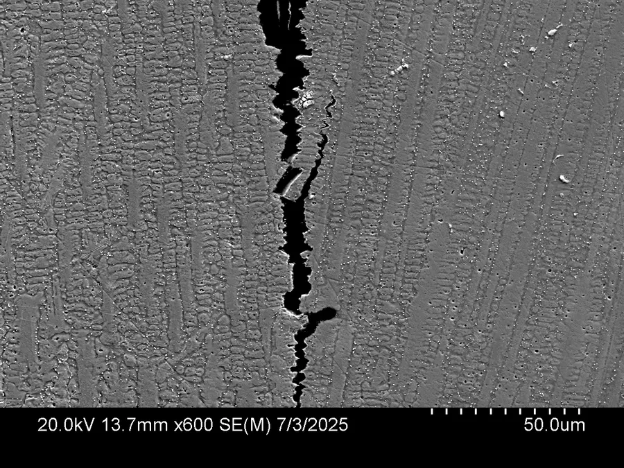 The crack, up close. SEM cross-section of the etched alloy. Thermal stress opened this one straight through the columnar grains.